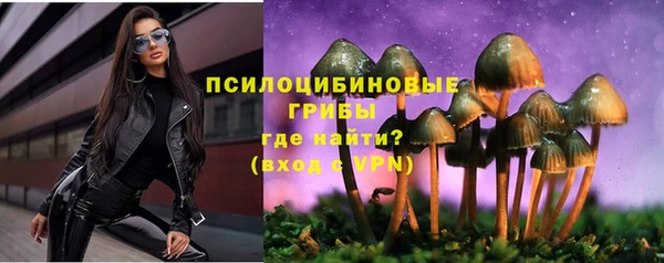 каннабис Дмитриев