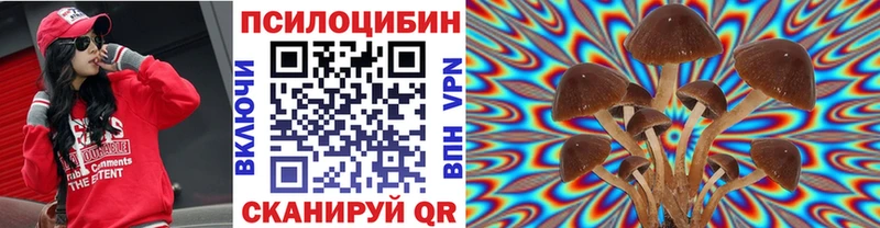 наркота mega сайт площадка формула Ефремов Псилоцибиновые грибы MAGIC MUSHROOMS